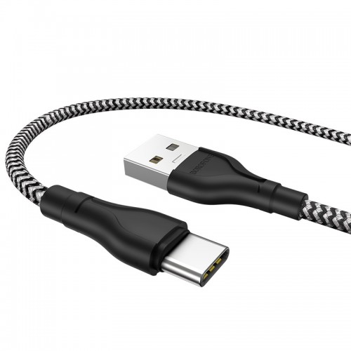 Кабель USB - Type-C Borofone BX39, 1.0м, 3,0А, цвет: чёрный, белый